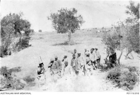 Escort Gallipoli
