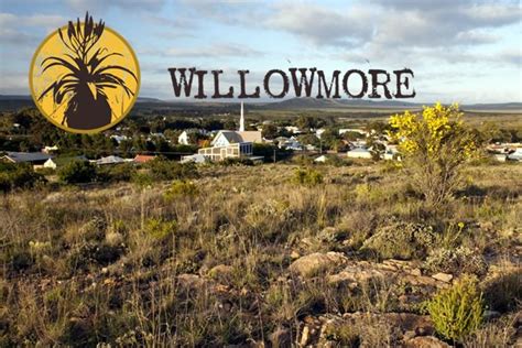 Escort Willowmore