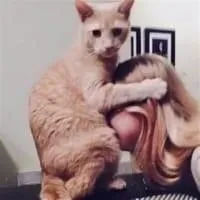 Yirka sexual-massage