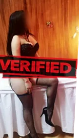 Amy wetpussy Find a prostitute Wexford