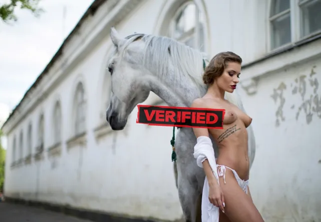 Angelina sexy Finde eine Prostituierte Paderborn